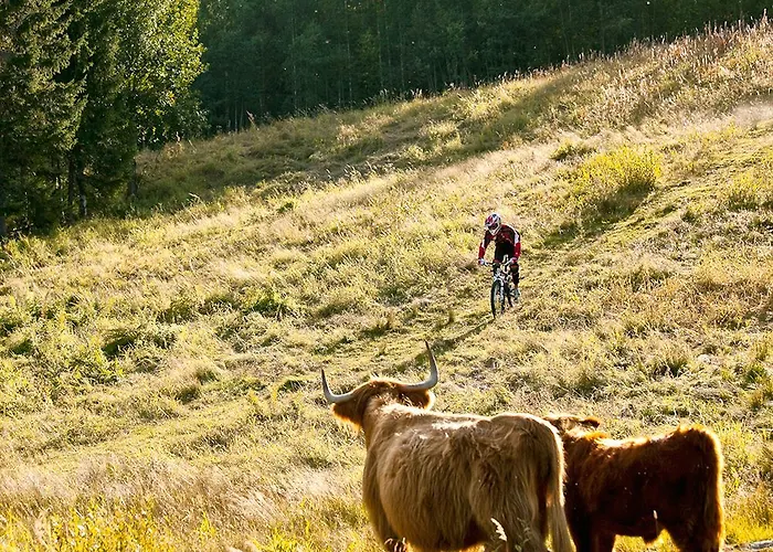 Golden منتجع 5*